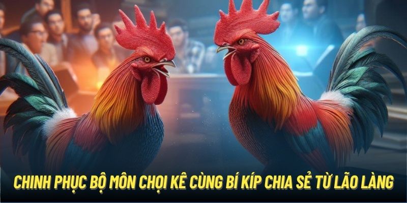 Chinh phục bộ môn chọi kê cùng bí kíp chia sẻ từ lão làng